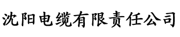 黄污视频网站电缆厂logo